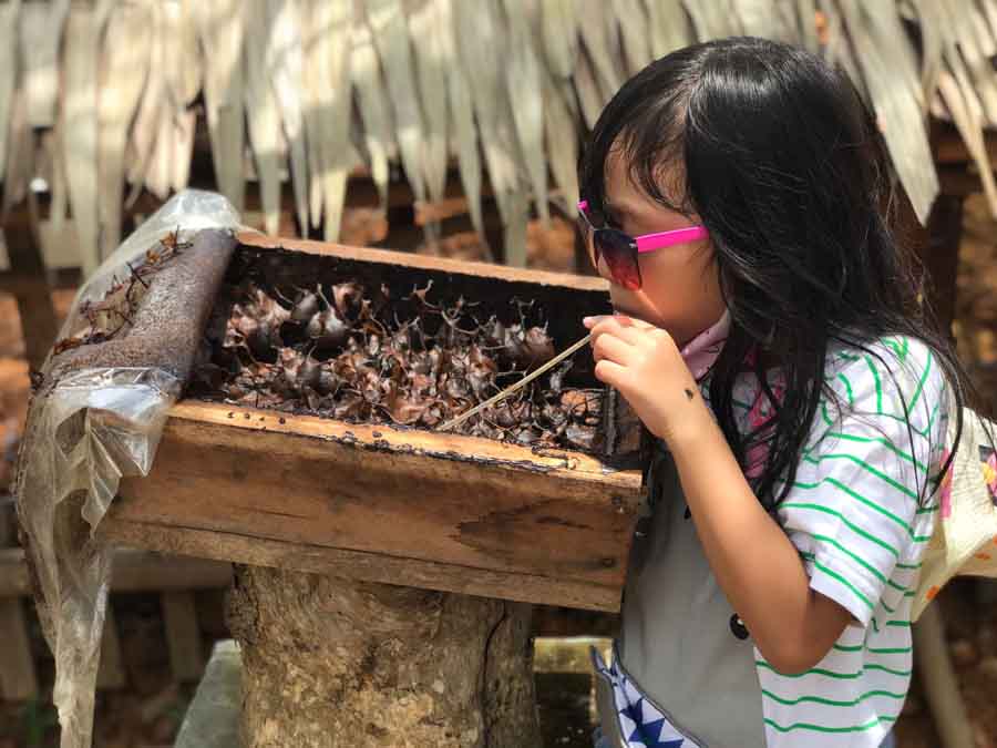 Taman Wisata Edukasi Gudem Bee Farm Sri Bintan - 5